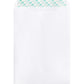 Business Source Self Sealing Catalog Envelope - 65450