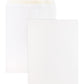 Business Source Self Sealing Catalog Envelopes