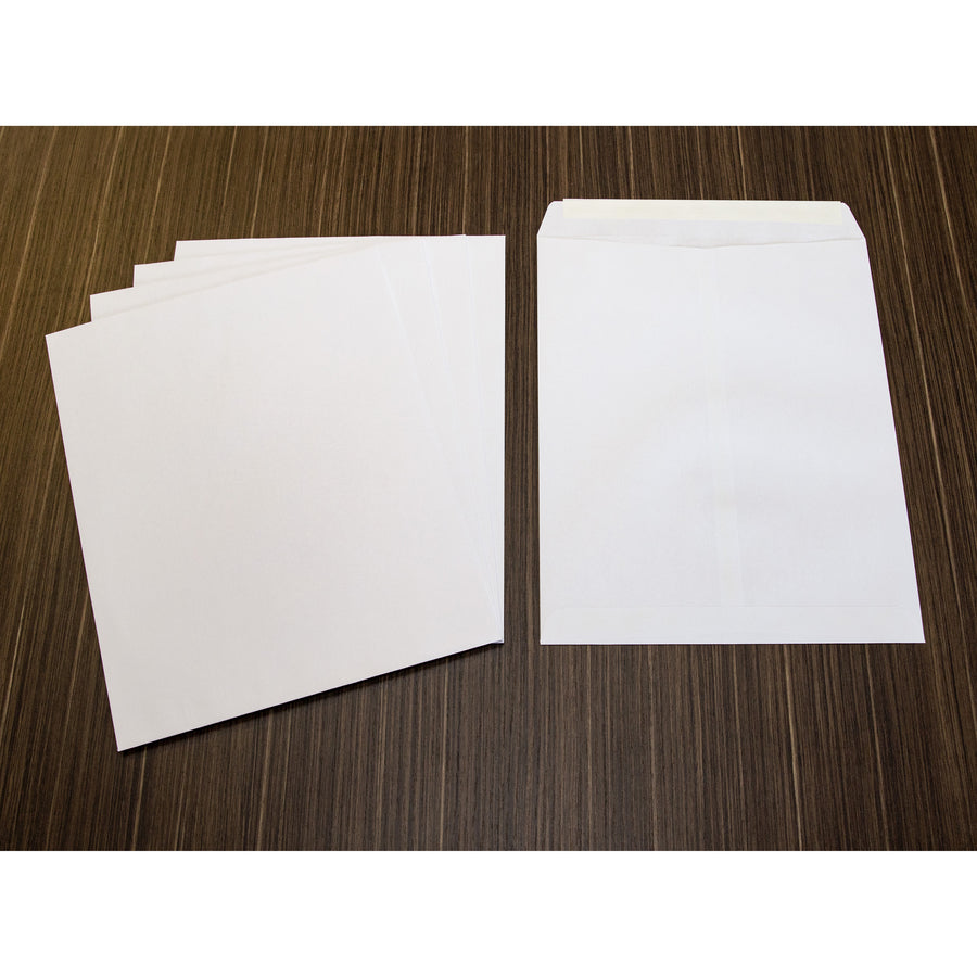 Business Source Self Sealing Catalog Envelopes - 65451