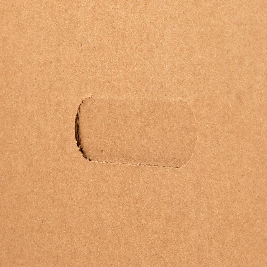 Business Source Economy Medium-duty Storage Boxes - 26751