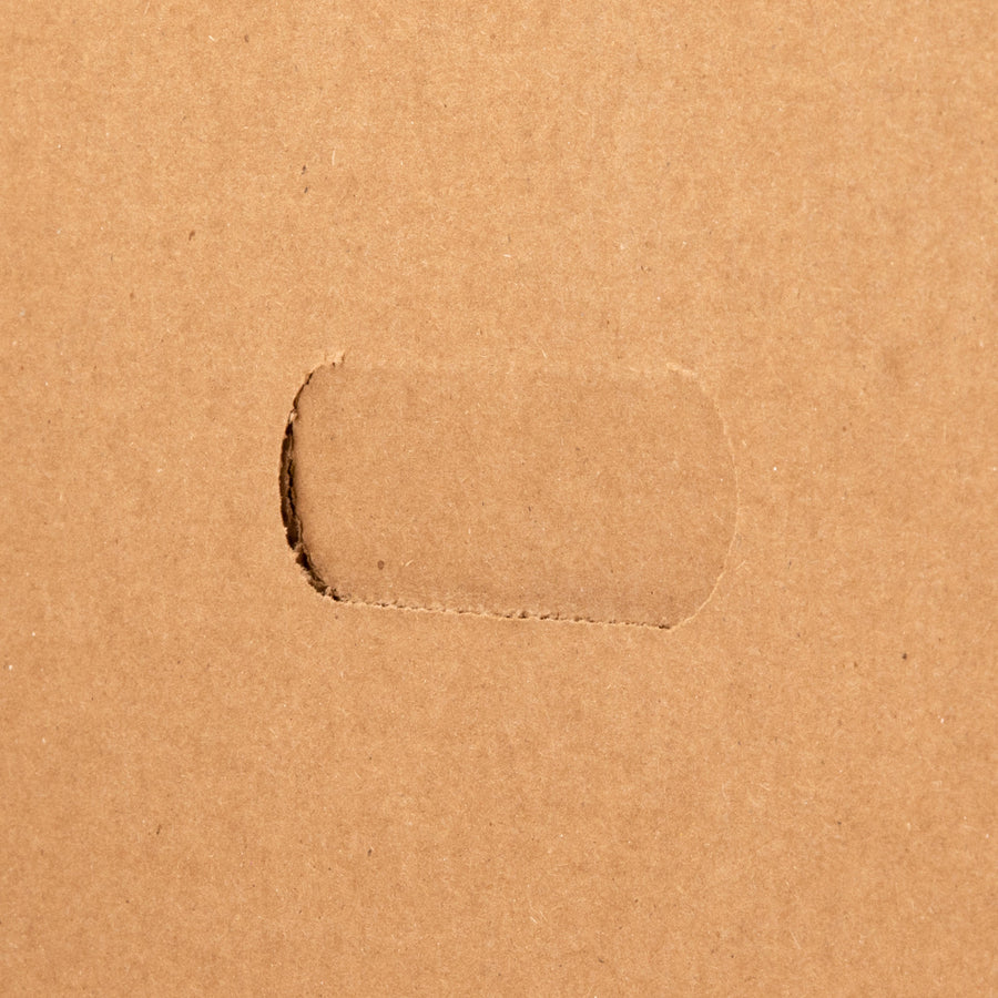 Business Source Quick Setup Medium-Duty Storage Box - 32450