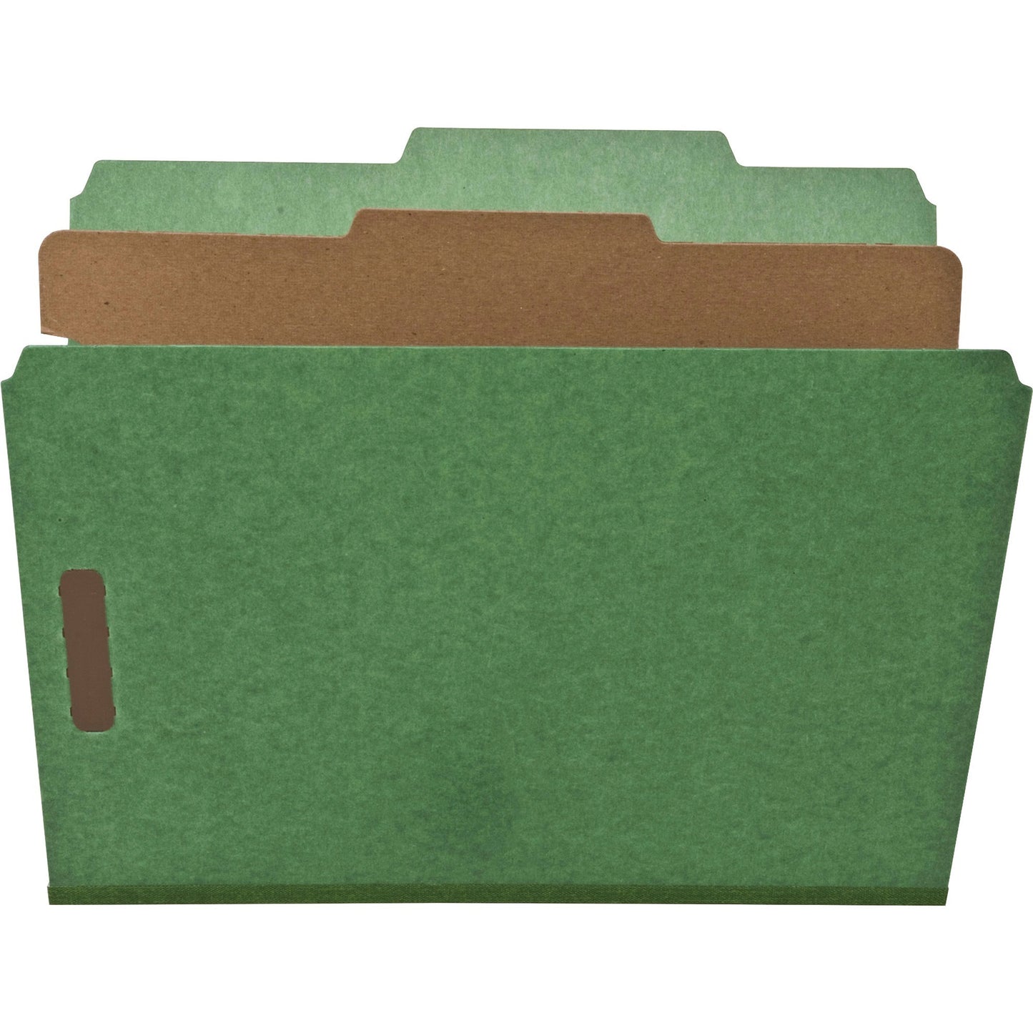 Nature Saver Letter Recycled Classification Folder