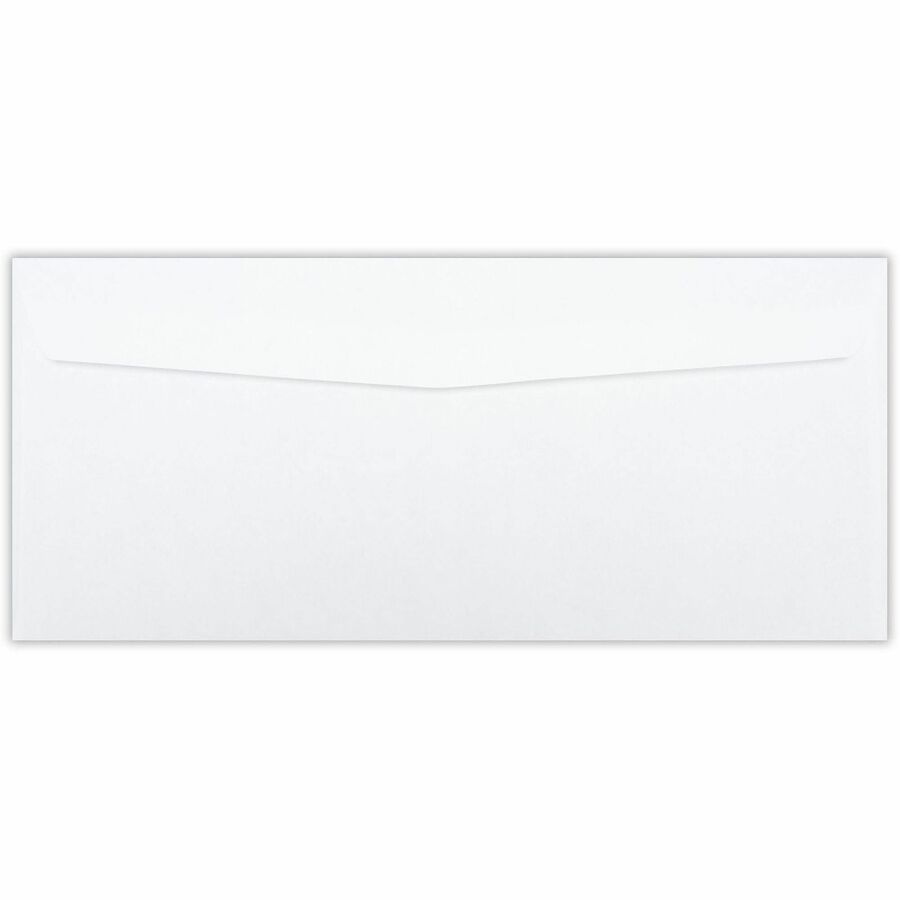 Business Source No. 10 Double-Window Invoice Envelopes - 36694