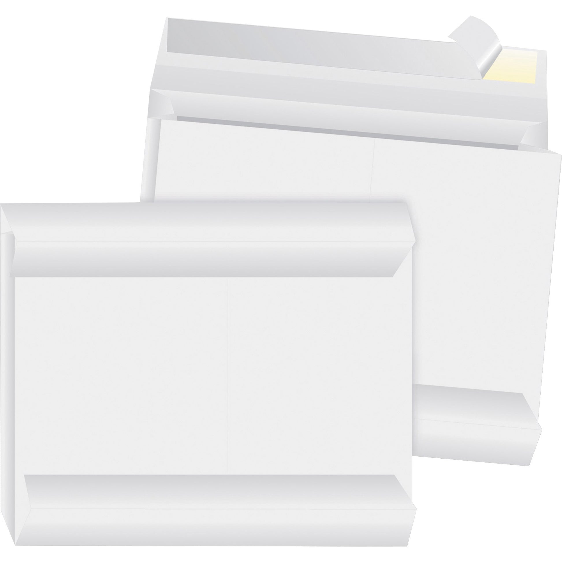 Business Source Tyvek Envelopes