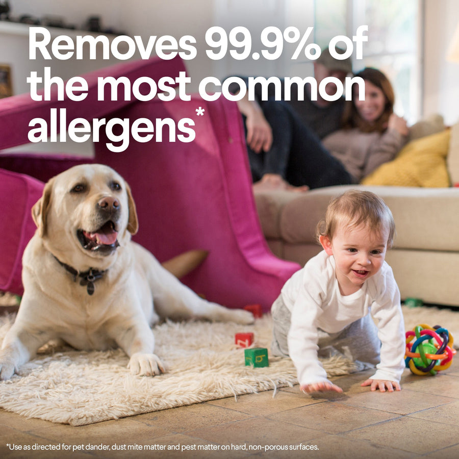 Clorox Disinfecting Wipe - 24684