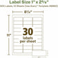Avery&reg; Eco-Friendly Address Labelsfor Laser and Inkjet Printers, 1" x 2-5/8" - 48860