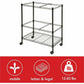 Lorell 2-Tier Wire Mobile File Cart - 45650