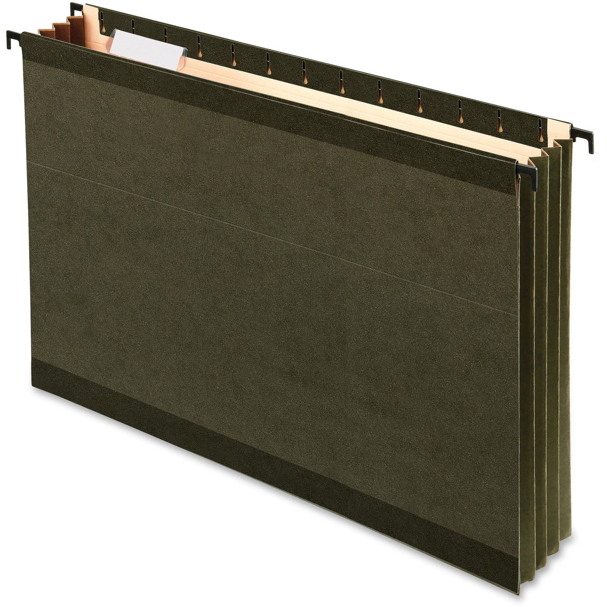 Pendaflex SureHook 09213 Legal Recycled Hanging Folder