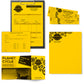Astrobrights Color Copy Paper - Solar Yellow - 21538