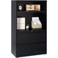 Lorell Box/Box/File Lateral File Combo Unit - 66206