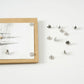 Lorell 5/16" Long Thumb Tacks - 10110