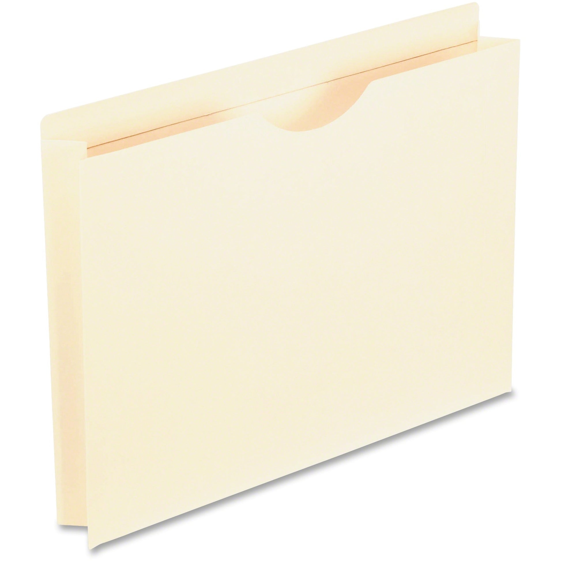 Pendaflex Straight Tab Cut Letter Recycled File Jacket