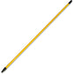 Genuine Joe 60" Extension Handle