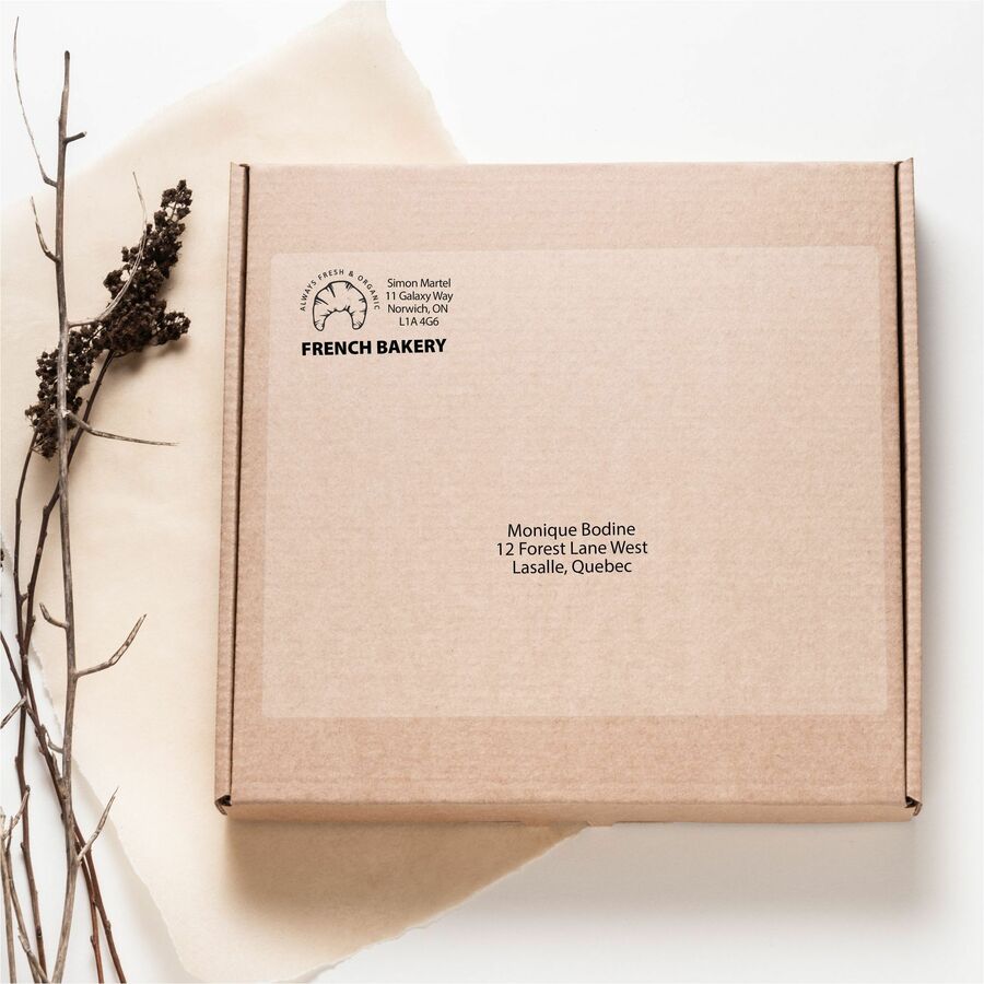 Avery&reg; Rectangle Clear Labels8-1/2" x 11" , for Laser/Inkjet Printers - 7665