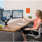 Fellowes Platinum Series Dual Monitor Arm - 8042501