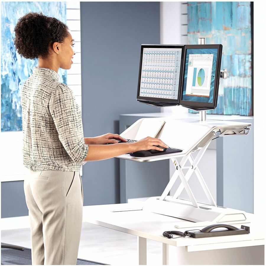 Fellowes Lotus™ Single Monitor Arm Kit - 8042801