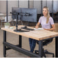 Fellowes Professional Series Dual Horizontal Monitor Arm - 8043701