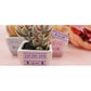 P-touch PT-H200BP Electronic Labelling System - PTH200BP