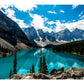 ViewSonic Value VA2456-mhd 24" Class Full HD LED Monitor - 16:9 - Black - VA2456-MHD