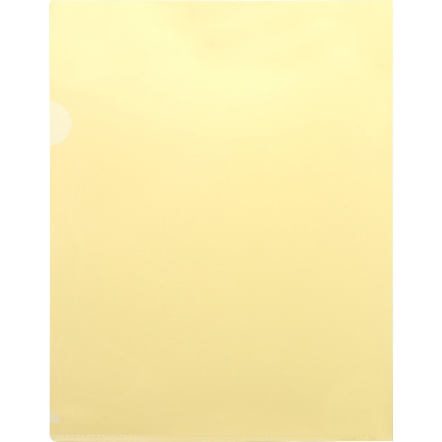 Business Source Letter File Sleeve