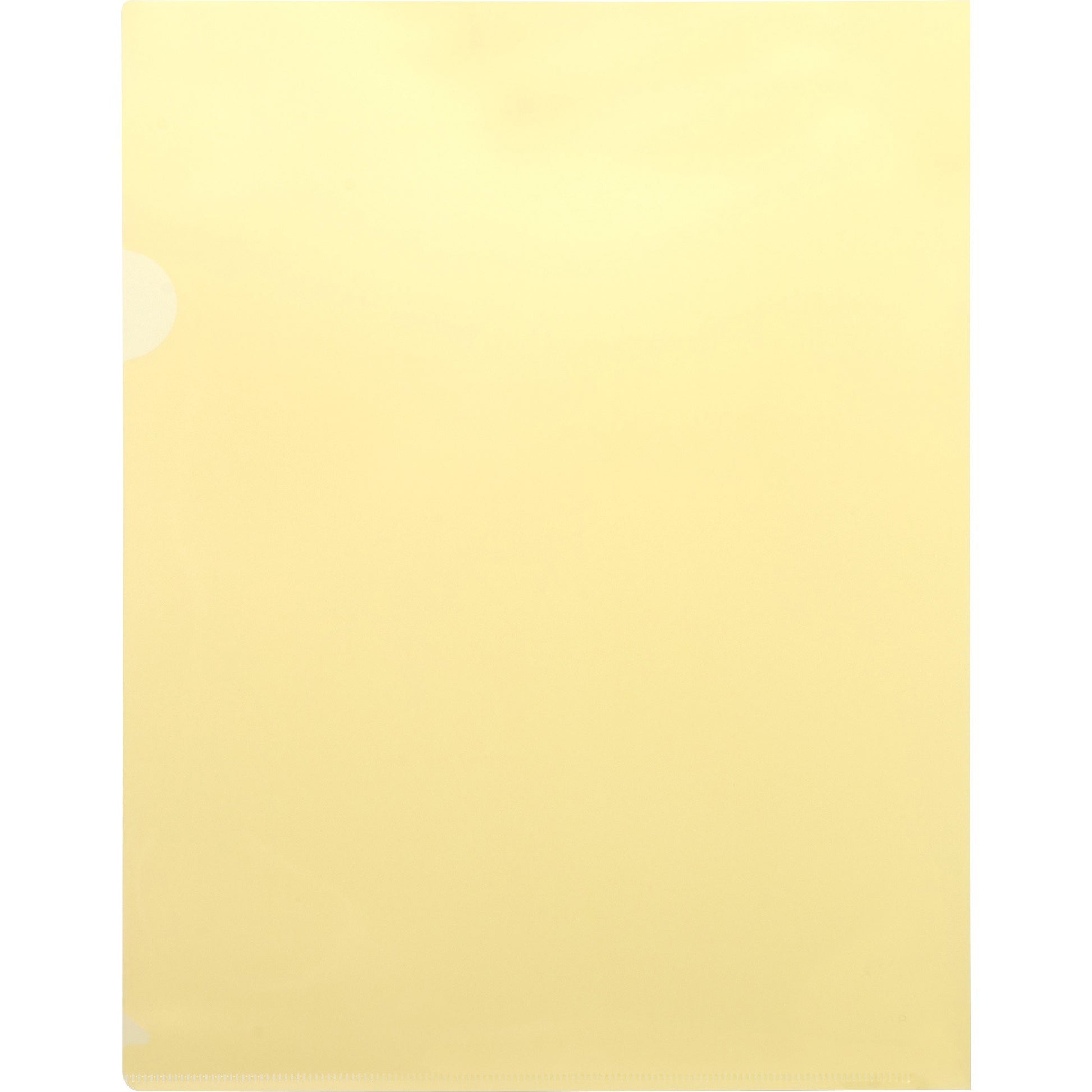 Business Source Letter File Sleeve