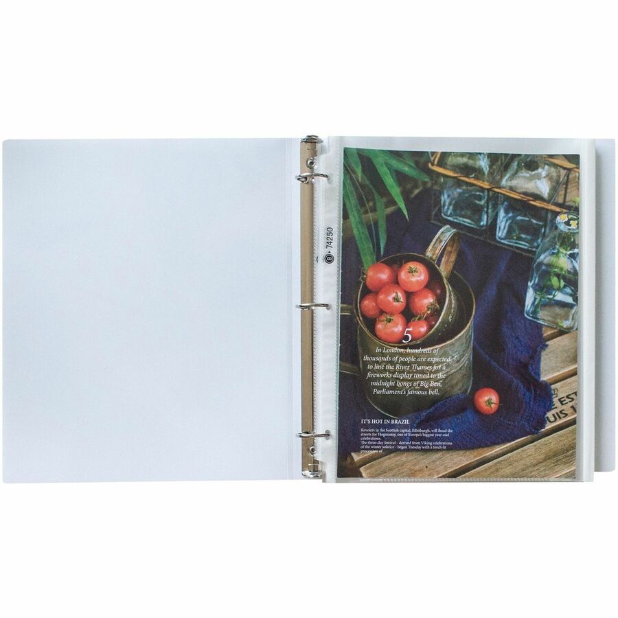 Business Source Heavy-duty Sheet Protectors - 74250