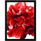 Lorell Wide Frame - 49211