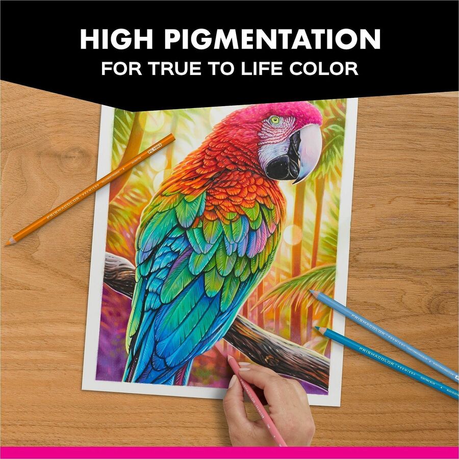 Prismacolor Under Sea Coloured Pencil Set - 2023752