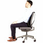 Fellowes Office Suites&trade; Mesh Back Support - 9191301