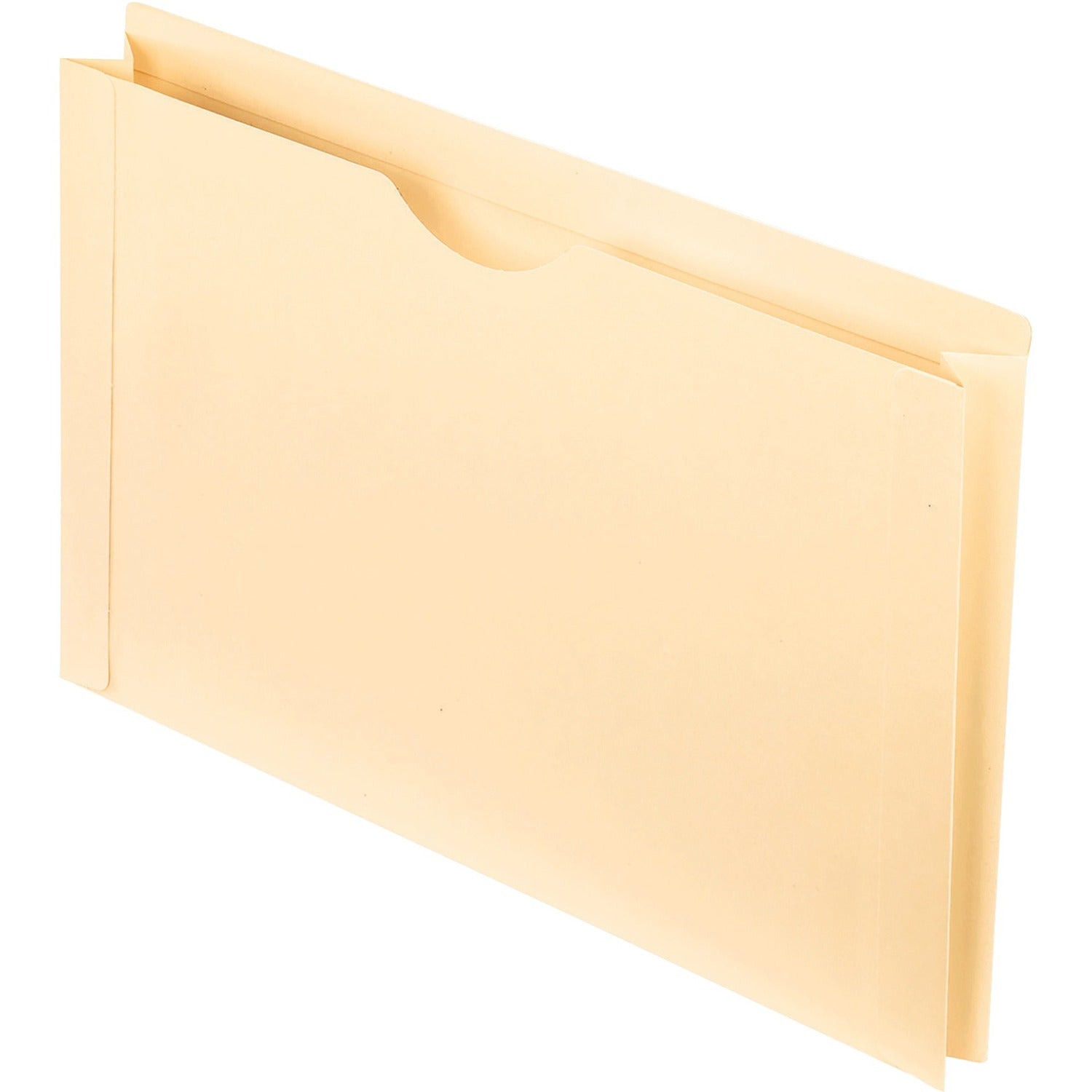 Pendaflex Straight Tab Cut Legal File Jacket