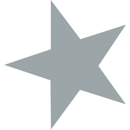 Westcott Silver Stars
