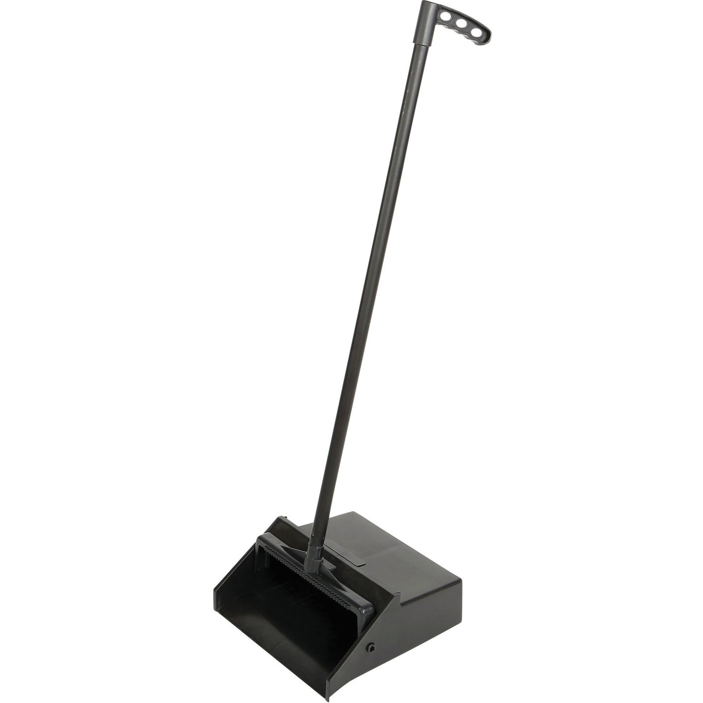 Globe Lobby Dustpan