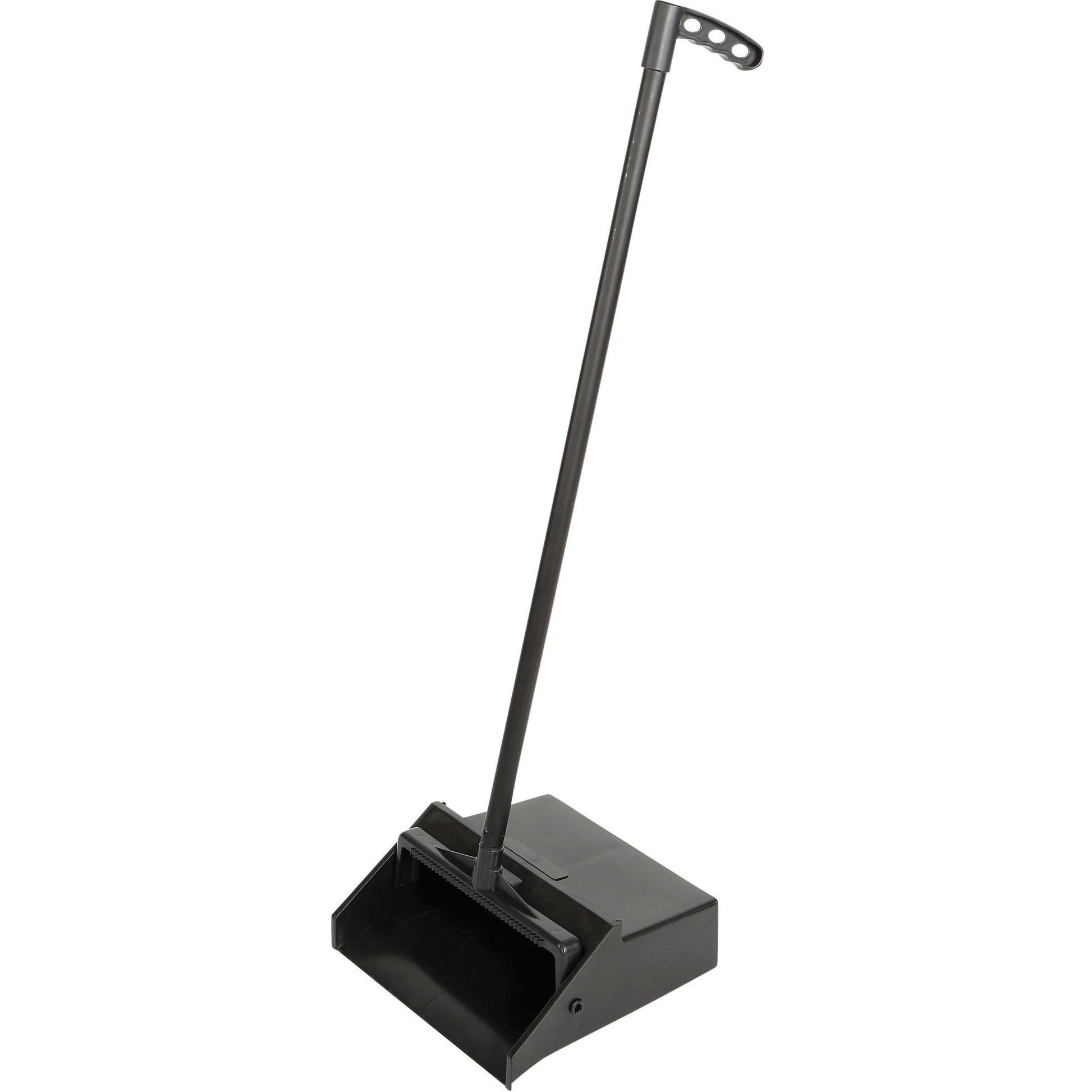 Globe Lobby Dustpan