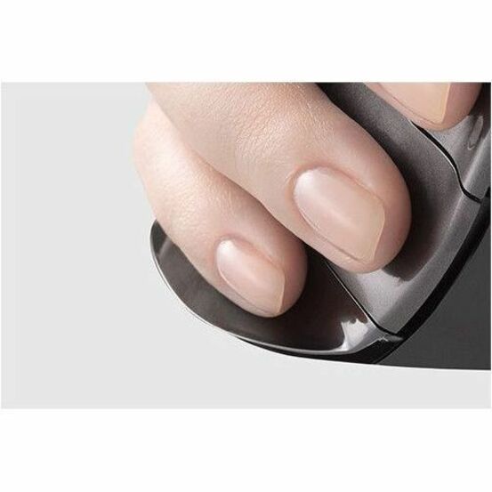 Evoluent VerticalMouse D Large - VMDL