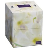 Embassy&reg; 2-Ply Cube Facial Tissue