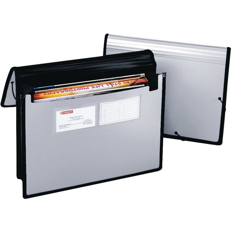 Pendaflex Professional Letter Pocket Folder