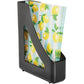 Deflecto AntiMicrobial Magazine File - 63909