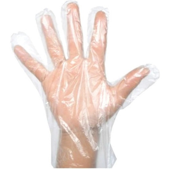 Globe Disposable Deli Gloves Medium Clear 500/box - 8001