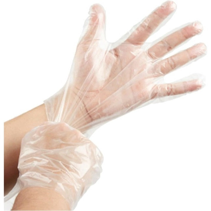 Globe Disposable Deli Gloves Medium Clear 500/box - 8001