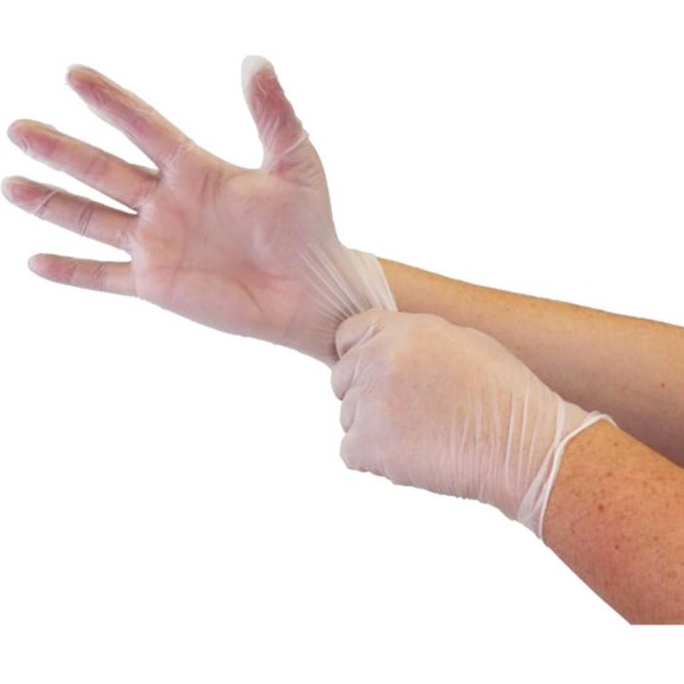 Globe Disposable Vinyl Gloves Clear Large 100/box - 7902