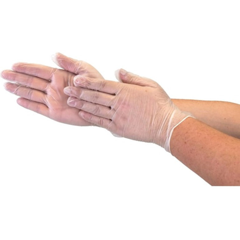 Globe Disposable Vinyl Gloves Clear Medium 100/box - 7901