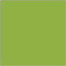 Davis Group Premium Economy, Angle D Ring, Binder, (Lime Green, 3") - 2305-24