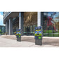 Samsung OH55A-S Digital Signage Display - LH55OHAOSGBXGO