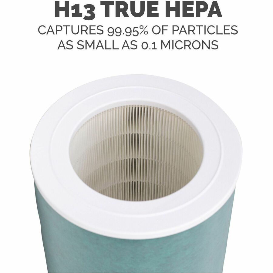 Fellowes AeraMax SE Combo Filter - 9787801