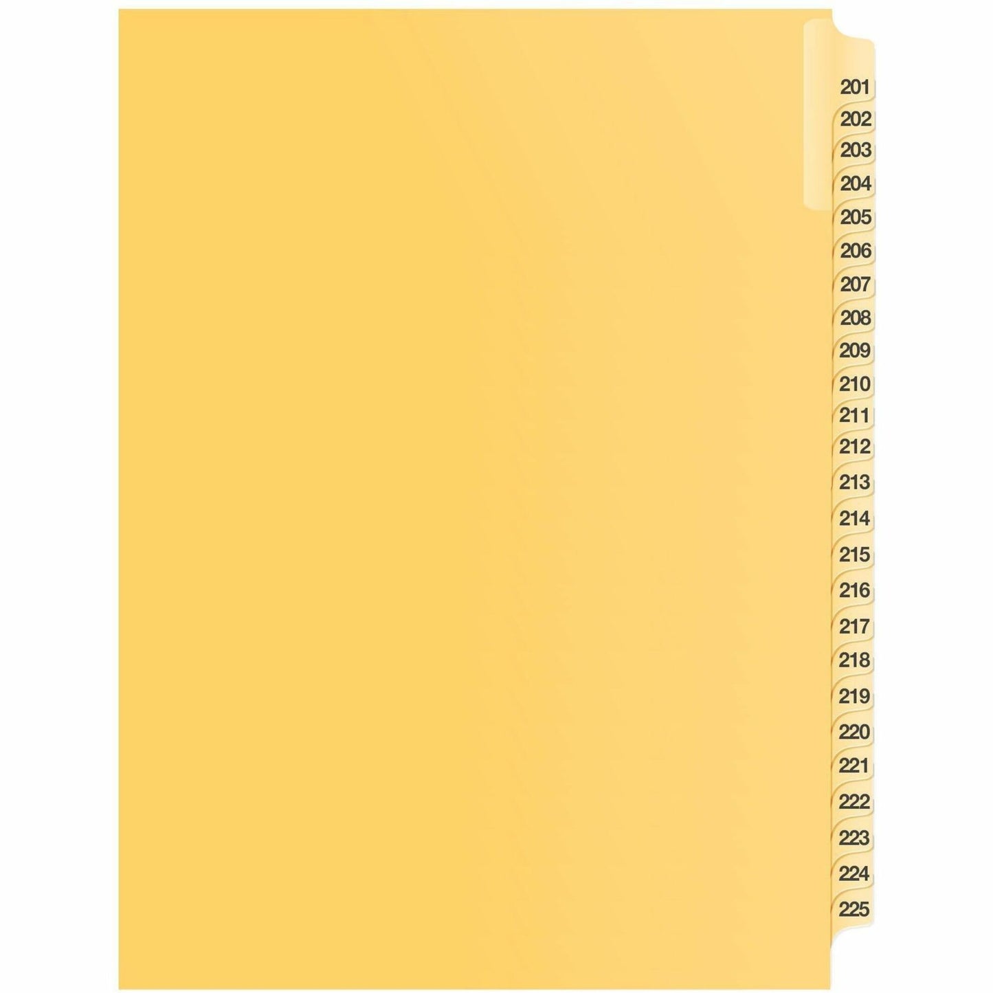 Davis Group Index Divider