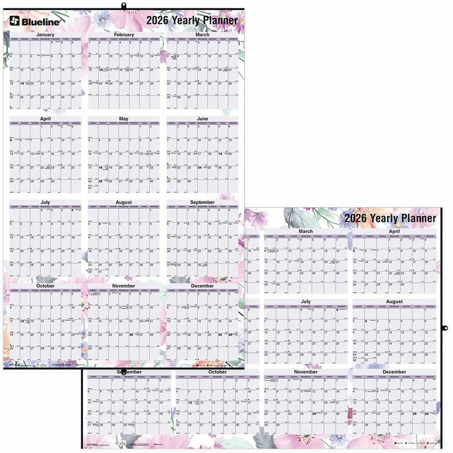 Blueline Passion Yearly Laminated Wall Calendar, 24" x 36" , English