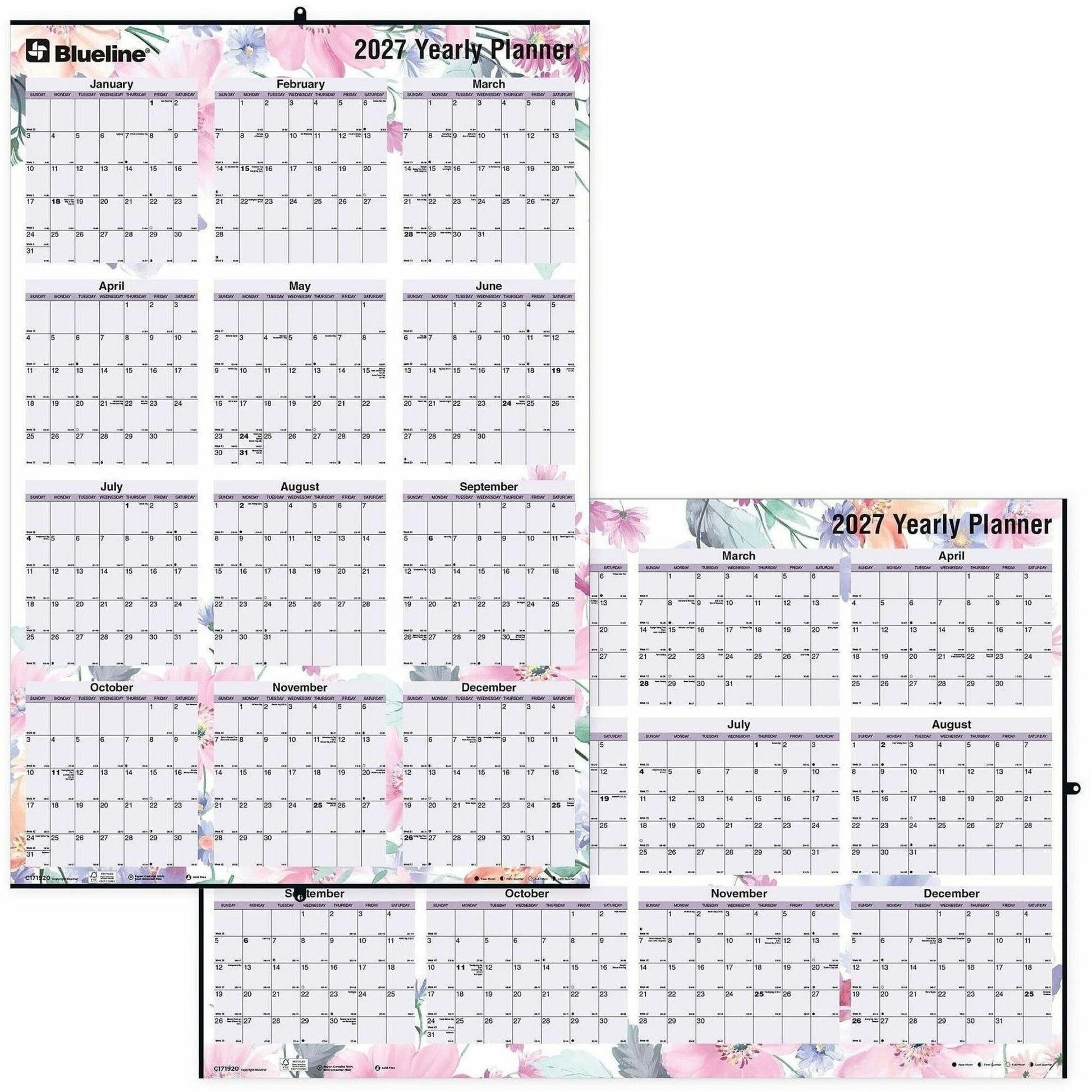 Blueline Passion Yearly Laminated Wall Calendar, 24" x 36" , English