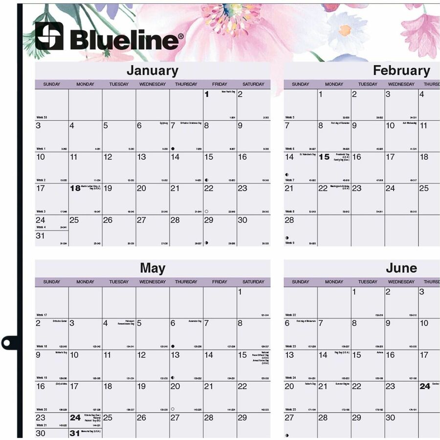 Blueline Passion Yearly Laminated Wall Calendar, 24" x 36" , English - C171920
