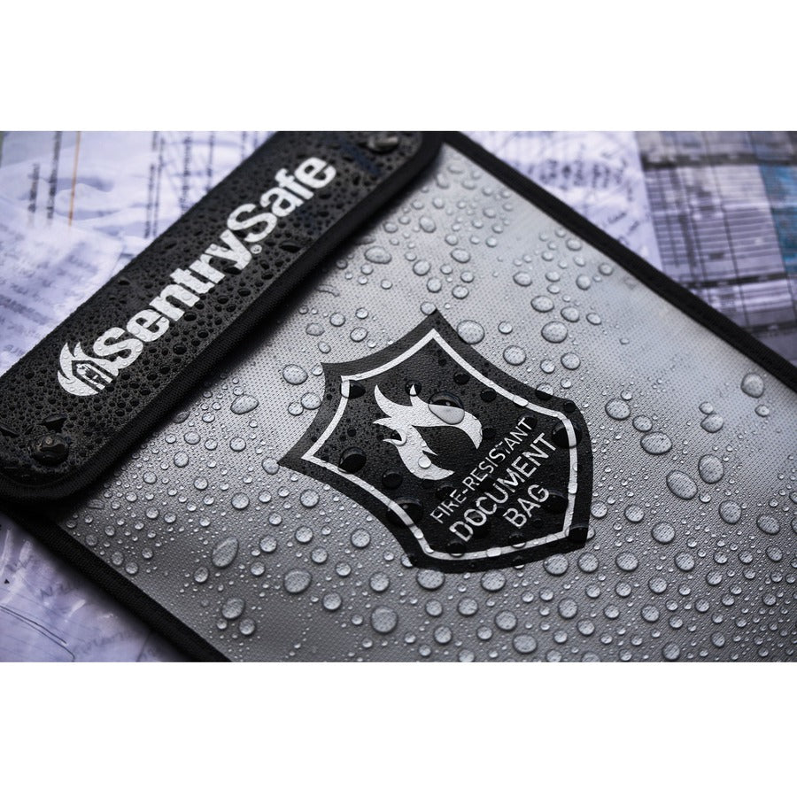 Sentry Safe Carry Bag - FBWLZ0SSC