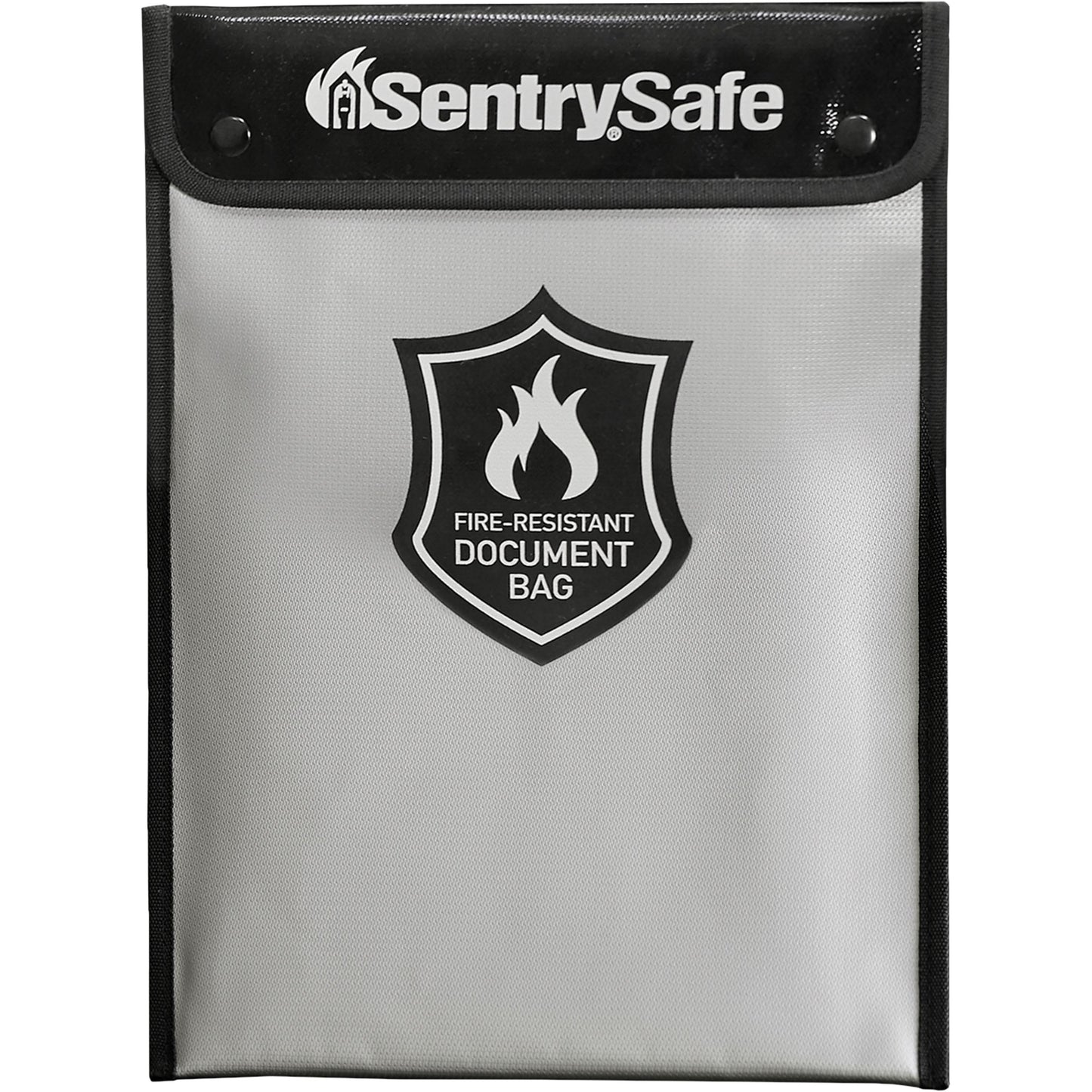 Sentry Safe FBWLZ0SSC Carry Bag